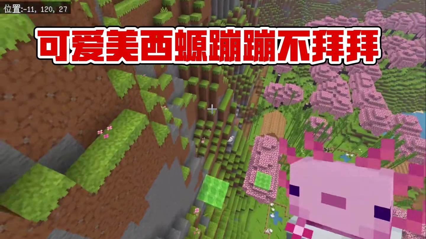 我的世界：可爱的美西螈！#我的世界#mc不灭#mc