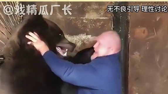 这战斗力也是没谁了！ #战斗民族  #神评论  #俄罗斯 #内容引起极度舒适