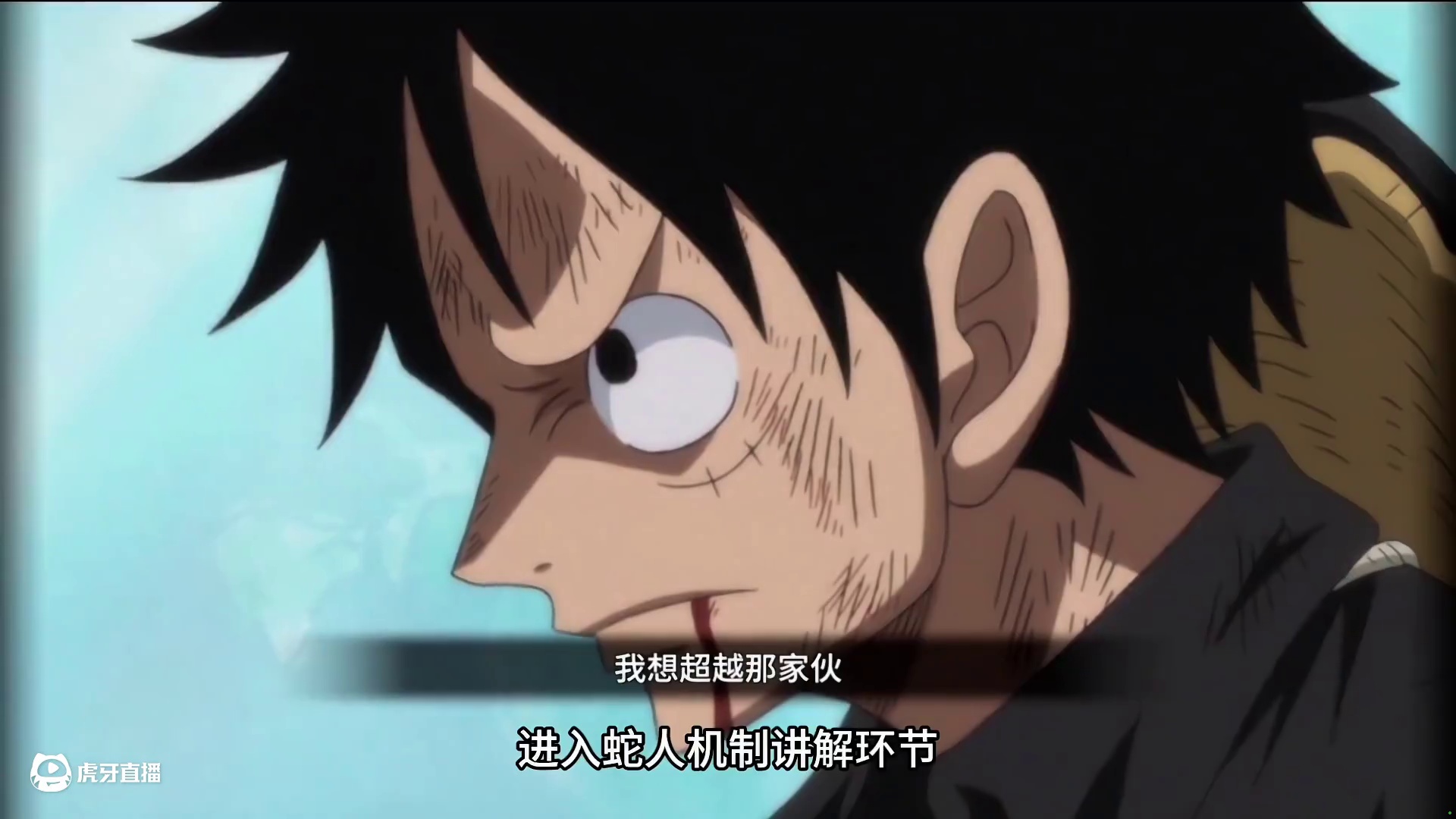 全新版蛇人路飞机制解析！称之为25年最佳强者也不夸张！#航海王热血航线 #热血航线夏日狂欢 #蛇人路