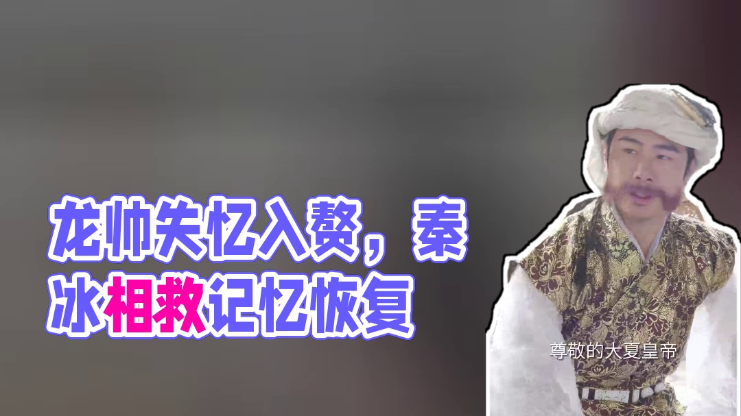 龙帅失忆入赘受辱，父病重不得归。遇秦冰相救得以恢复记忆... #醒龙帅定乾坤 #因为一个片段看了整部
