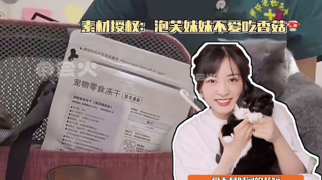 在生命的最后一刻 只想好好看看你#猫咪 #宠物 #离别