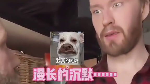 哪壶不开提哪壶