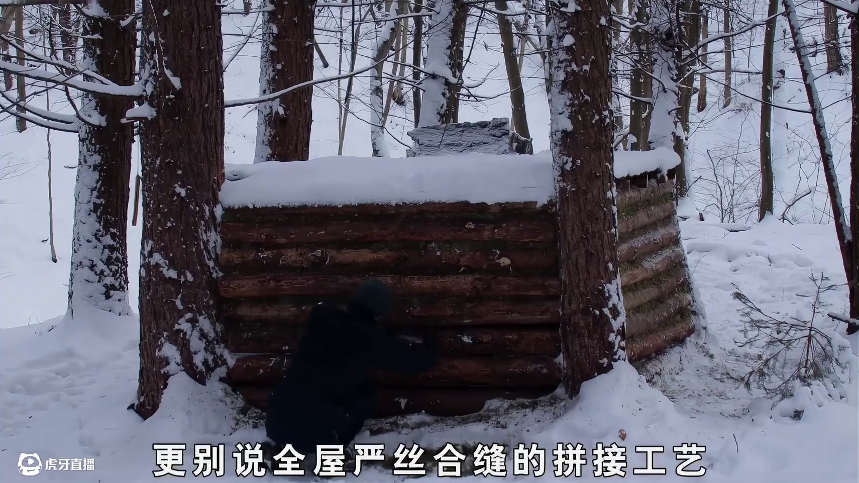 国外牛人在雪地搭建出精美的实木小屋，抵御零下二十度暴雪绰绰有