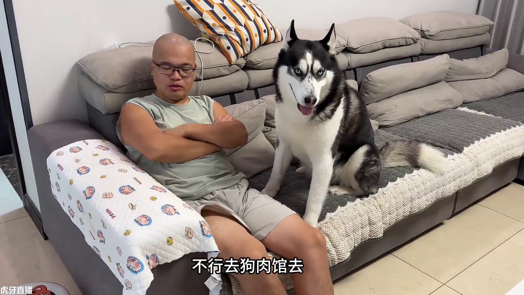 主人生气非要把二哈送狗肉馆，没想到二哈竟是这反应，笑得人肚疼 #萌宠出道计划 #动物的迷惑行为 #二