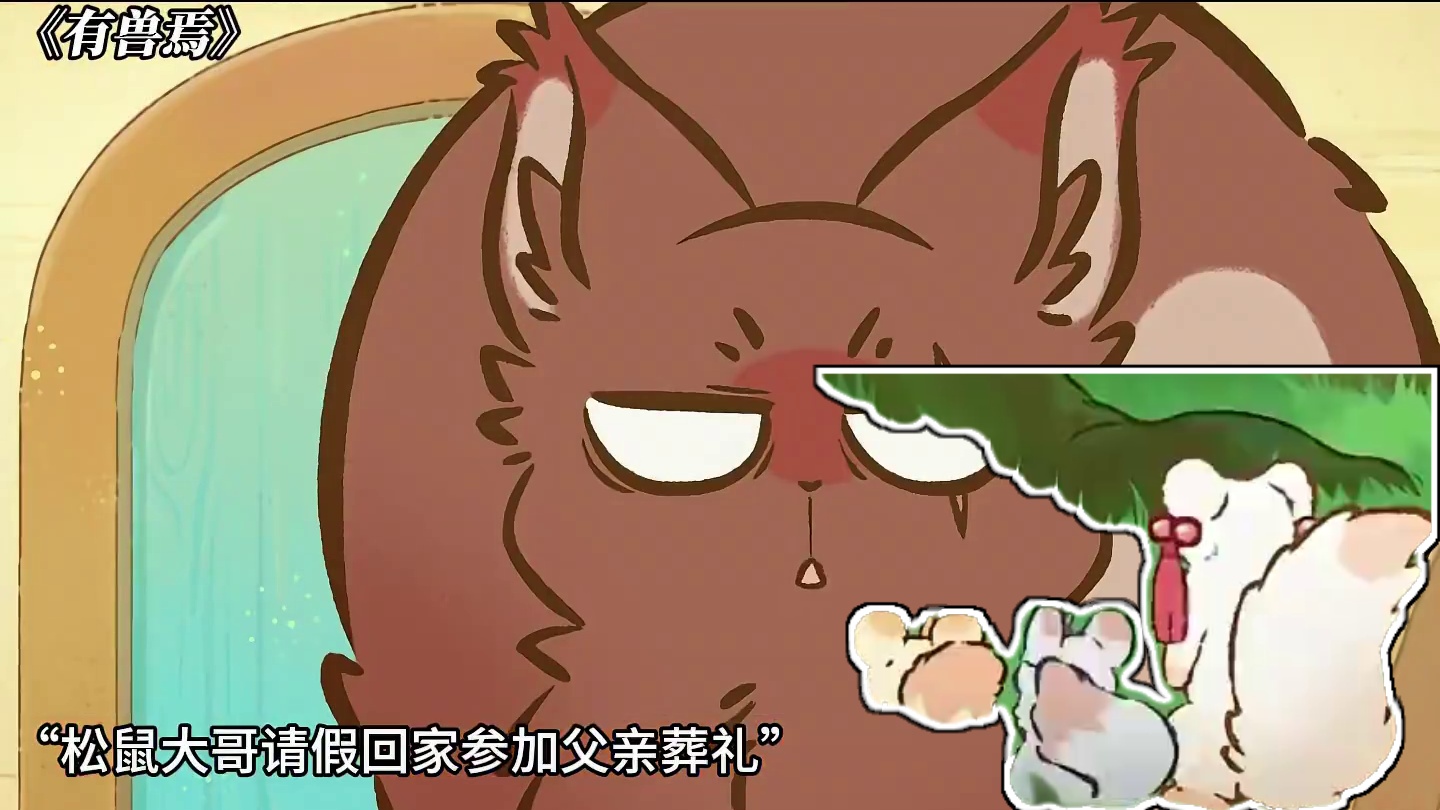 没想到松鼠大哥个头最大，年龄却最小 #有兽焉 #有兽焉超萌中国风 #每周B看