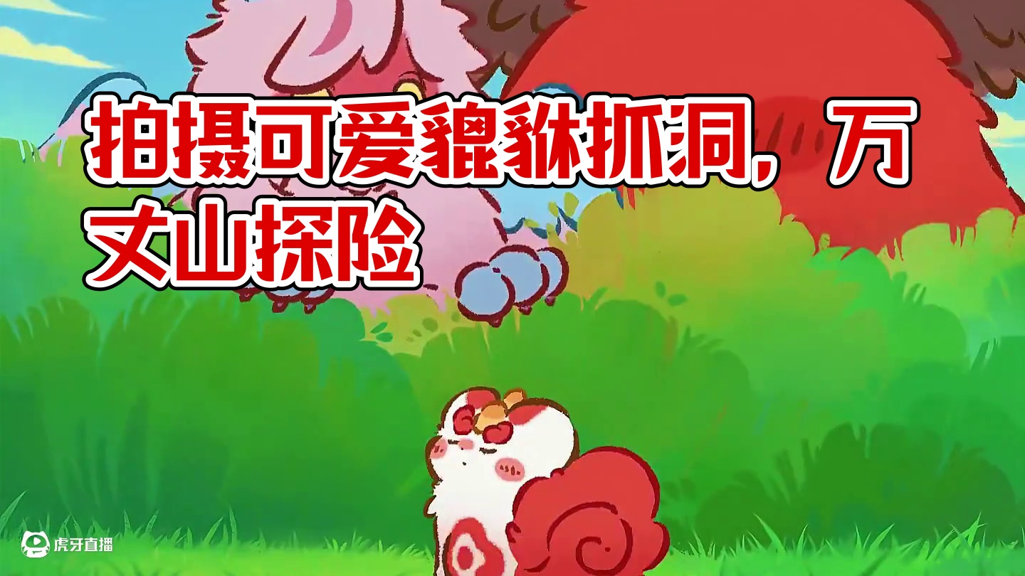 一掌拍出个爪爪洞 #有兽焉 #可爱 #貔貅 #每周B看