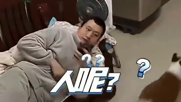 家中与萌犬嬉戏躲猫猫，一转身人不见，狗：味儿在却寻不着影