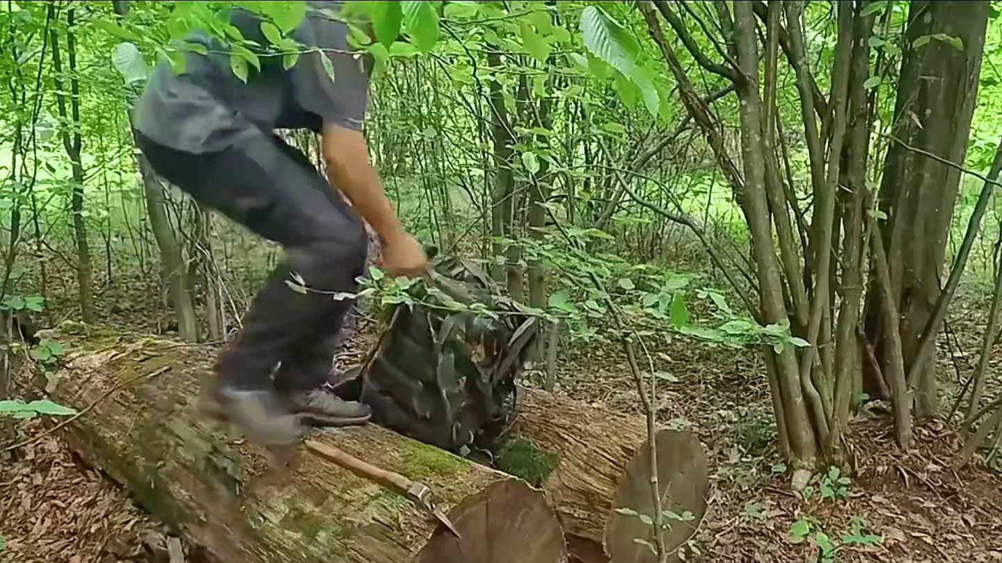 男人利用倒塌的大树，搭建温馨的地下庇护所 #野外建造  #荒野建造  #解压  #纪录片解说