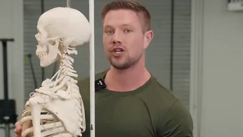 为什么这样弯曲的拉伸能帮你缓解下背的紧张不适但却没有长期效果 理解了这一点将帮助你更好的理解下背的紧