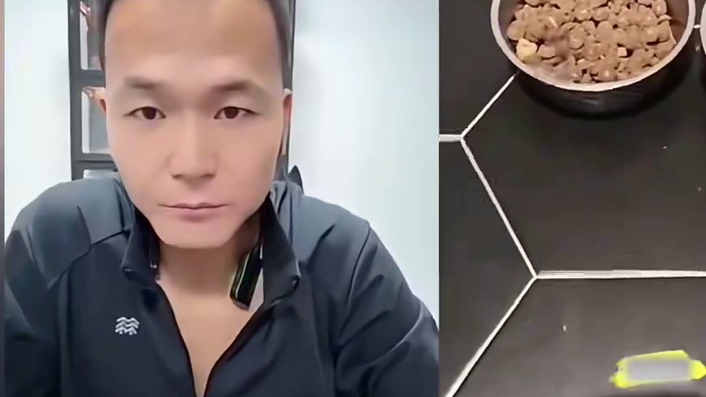 #搞笑#动物#潘宏爱玩狗