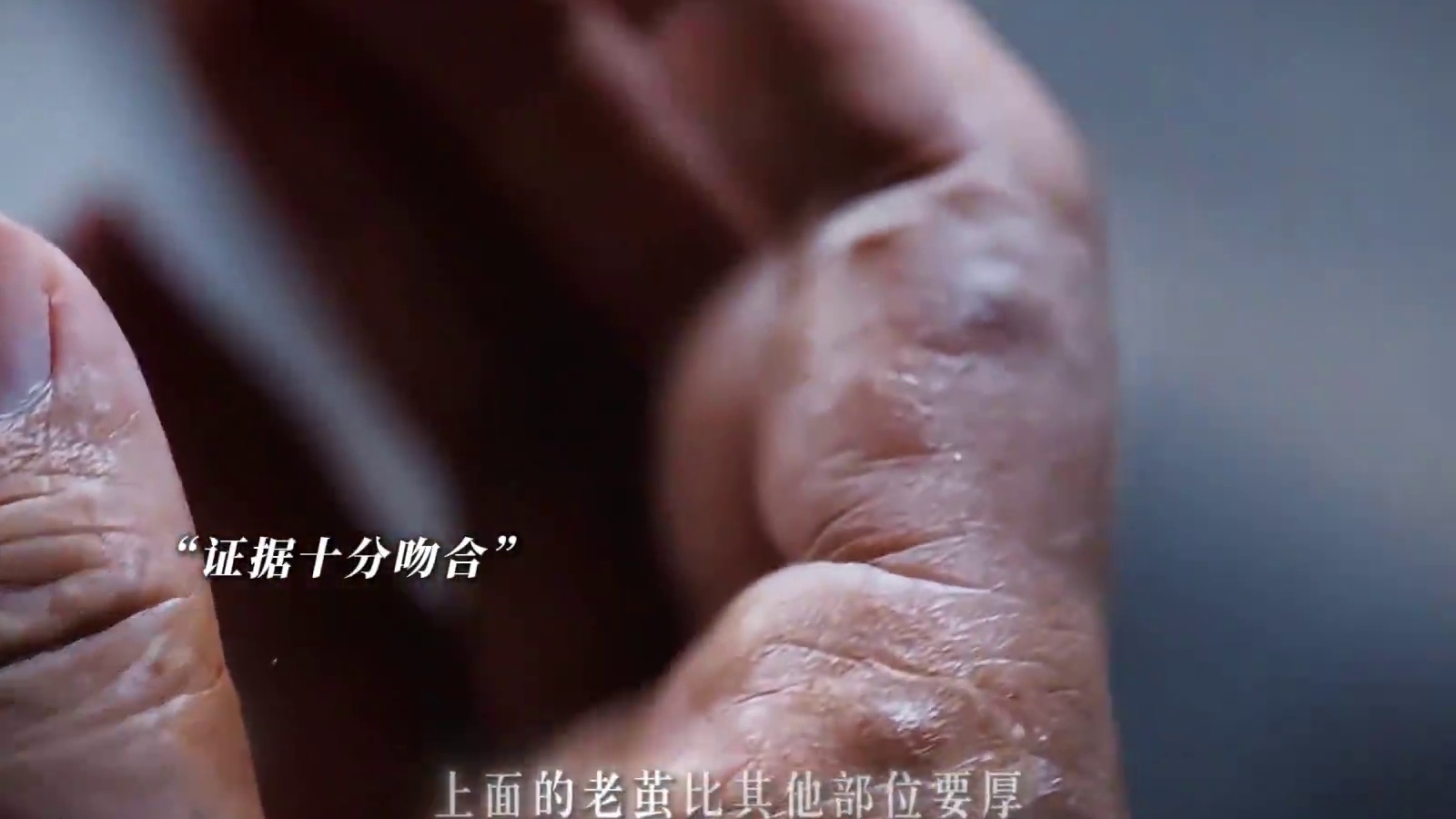 诡案频出，探案小队搭配干活！多几个人斡旋就是不一样！#定风波