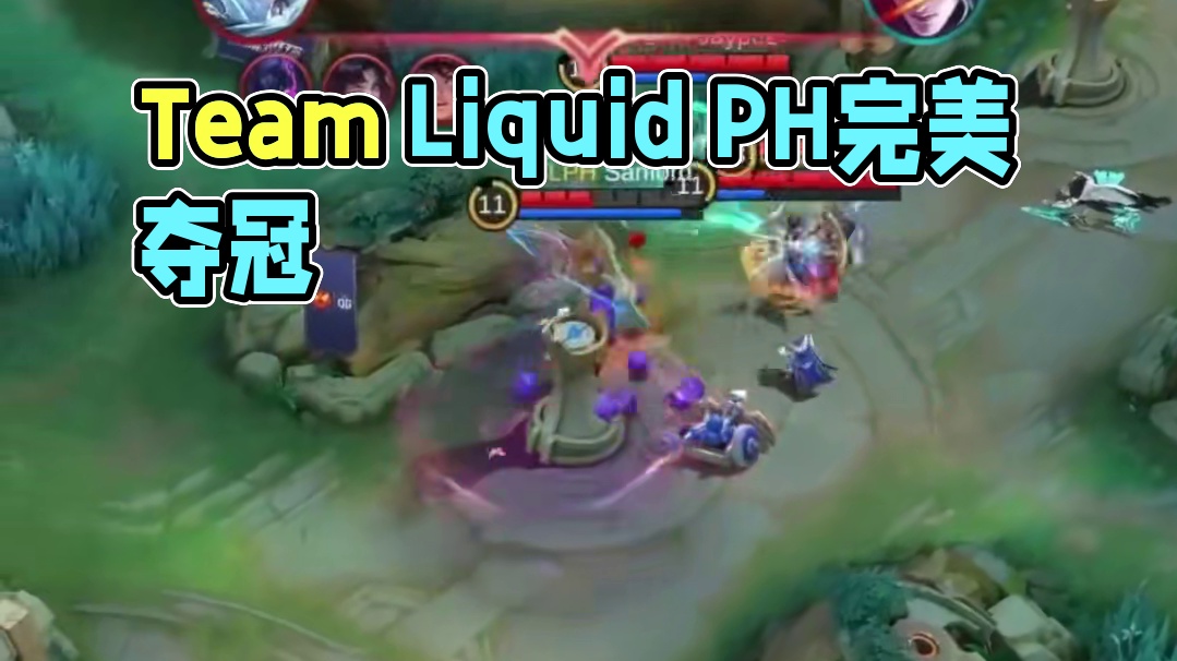 恭喜Team Liquid PH拿下MSC总冠军，五个人的完美配合实至名归，希望中国赛区能够学到经验