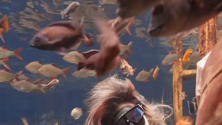 我发布了一个新视频，快来围观吧！