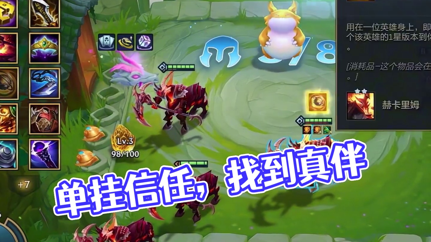 单挂是对你的信任