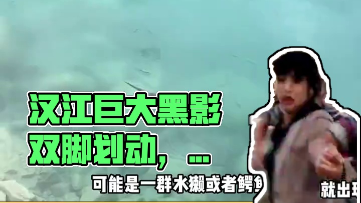 汉江怪物现身？汉江出现巨大黑影，似乎还有双脚划动 #汉江怪物 #神秘生物 #不明物体 #韩国