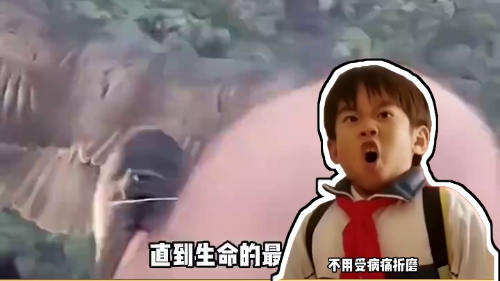 鸟类逆天衰老bug！保持年轻状态活到生命尽头 #鸟类 #冷知识 #万万没想到