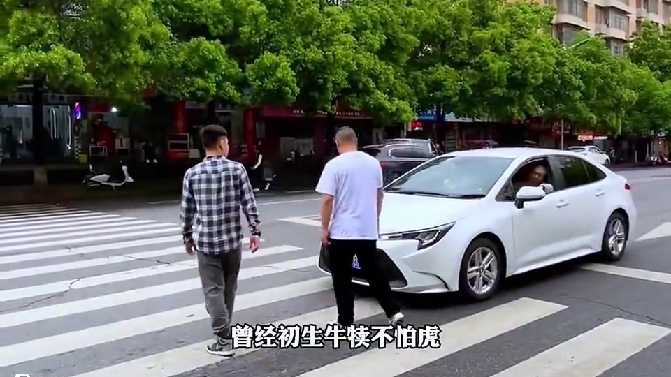 终于知道杭州礼让行人为何排第一了！