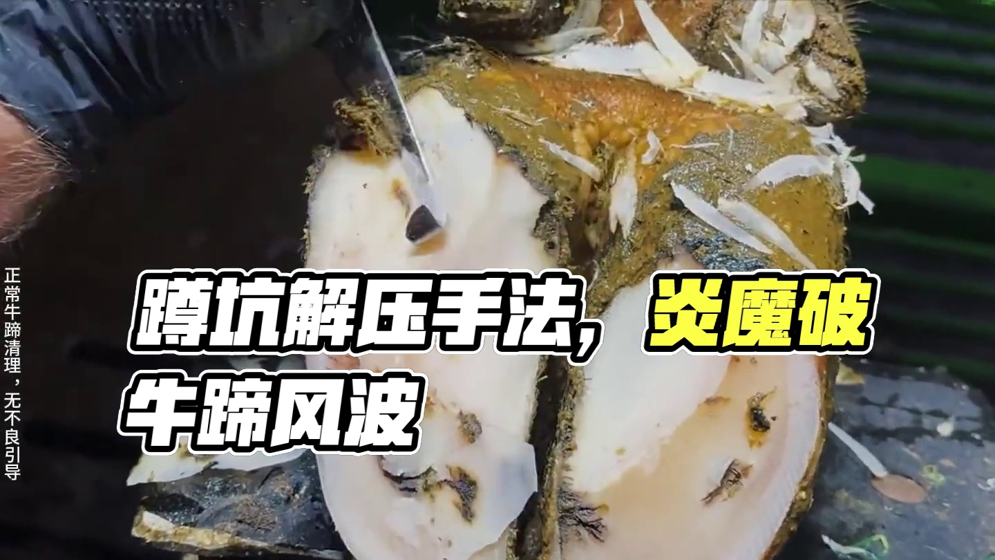 冲洗来的猝不及防，让正在蹲坑的你倍感舒畅 #解压 #助眠 #修牛蹄