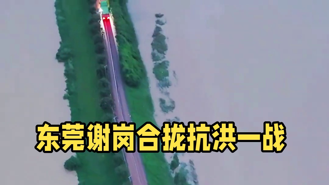 东莞谢岗涌8月6日晚顺利完成合拢，仅仅只用数个小时抢险奋战，这就是中国力量！#东莞谢岗 #抗洪救灾 