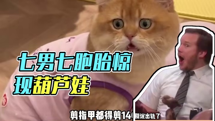 上次见到七胞胎还是在葫芦娃的藤上