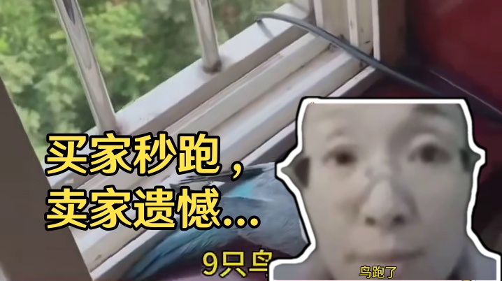 老板：九鸟成本 爆卖999+！