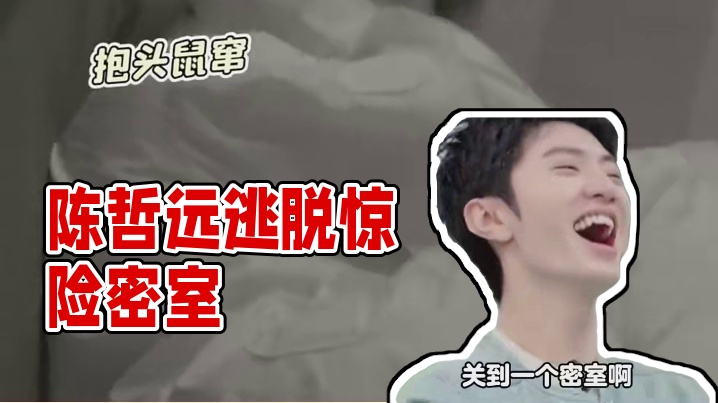 真的快要被陈哲远笑死了，这三个人在一起凑不出一个胆