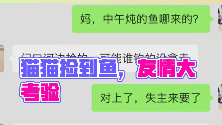 猫猫：赶快还给我！