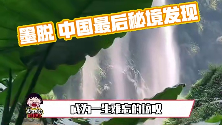 世界只有一个墨脱，而墨脱拥有整个世界 #西藏  #墨脱  #旅行