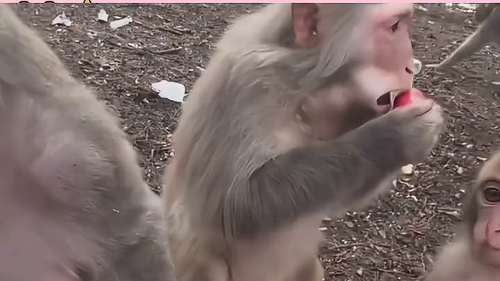 直接给哥们整成Type - C了