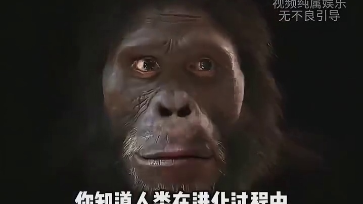 你知道人类在进化过程中都丢掉了哪些特殊功能吗