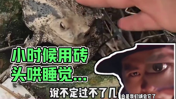 对不起，小时候不应该用砖头哄你睡觉