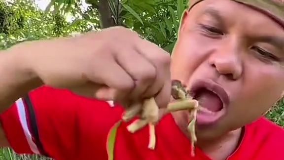 辣椒酱️牛瘪汁煮手剥笋鸡纵菌 #美食 #户外美食 #泰国美食 #内容启发搜索