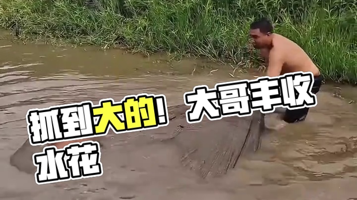 抓到了一个大的！