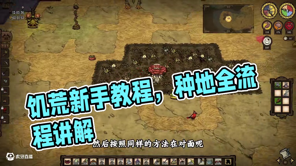 【满满熊叔】饥荒新手教程，全流程讲解第十一期，开始种地 #steam游戏 #饥荒联机版 #饥荒新手教
