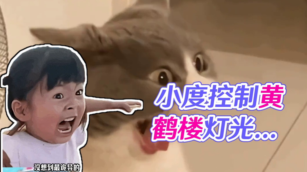 小度：没错就是这么宣传我！#小度小度#小度#黄鹤楼#小度全屋智能