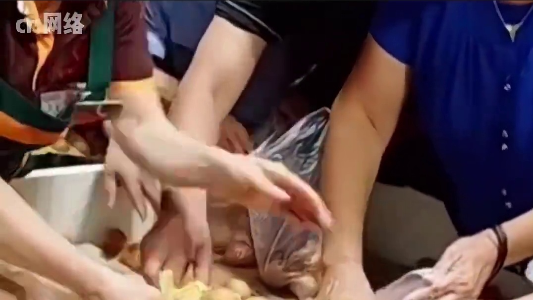 小鸡：这温度正好，谁说这天气不好的#天气 #高温  #萌宠出道计划 #鸡蛋 #暴富