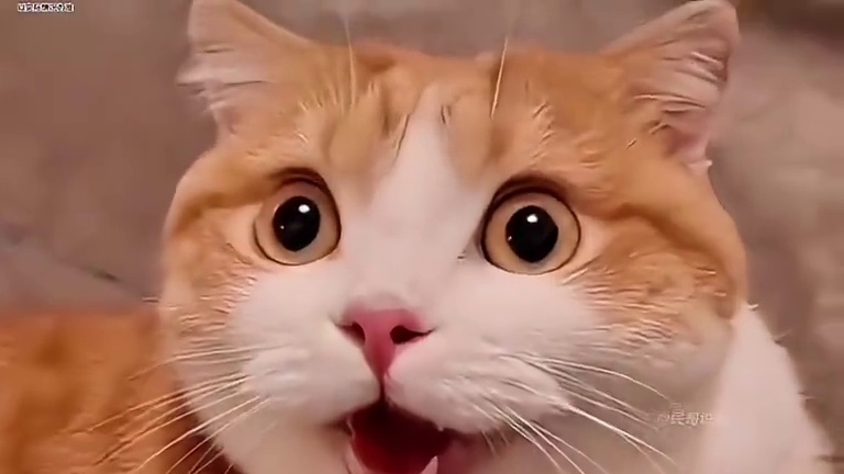 没钱硬装最后是脸面受伤…#dou是好车 #汽车的知识 #买车