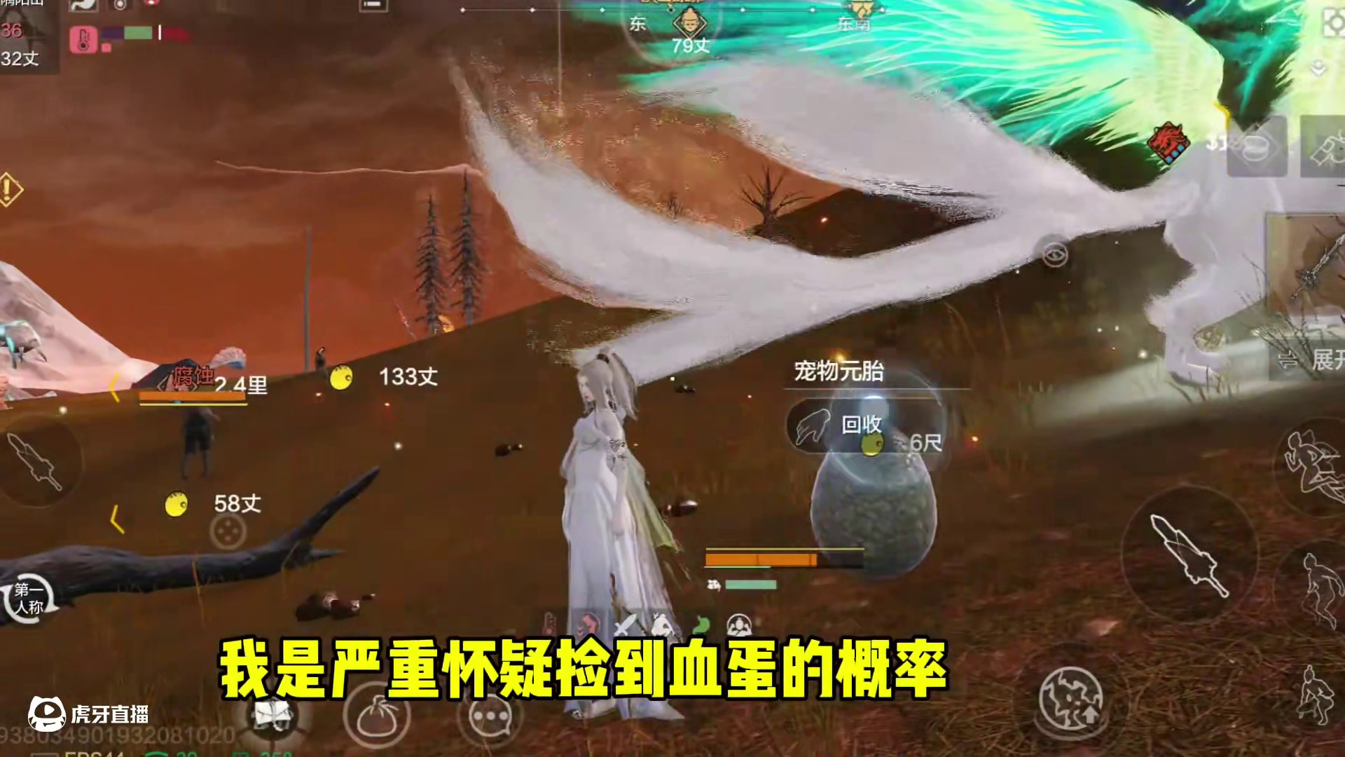 不会还有人不知道，在大荒里随处可见的元胎是能出无限血蛋吧 #妄想山海  #妄想山海兽城纪元  #欧皇