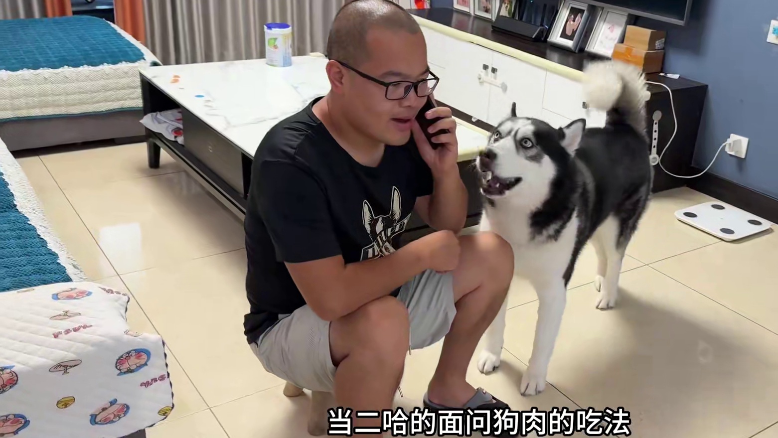 当二哈的面问狗肉的吃法，二哈气得全程骂骂咧咧，彻底慌了 #萌宠出道计划 #动物的迷惑行为 #哈士奇 