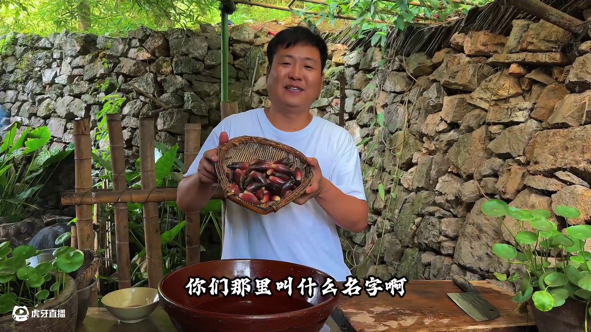 搞了三斤羊蛋，啤酒焖麻辣味，最后狗都不吃！ #我的乡村生活 #乡村味道 #乡村美食 #