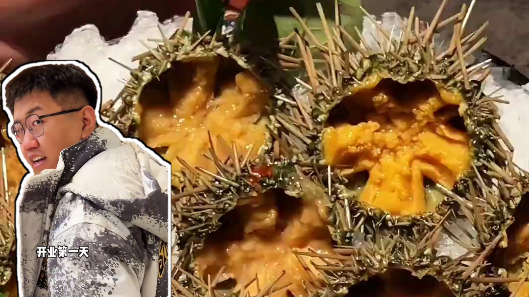 449_人海胆畅吃，来自长春的料理自助，尝尝品质怎么样？