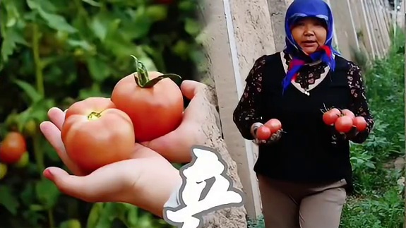 我们一直在路上！#BNU青春实践志 #暑期实践 #暑假生长计划（投稿来源：“何以北庭”实践队）