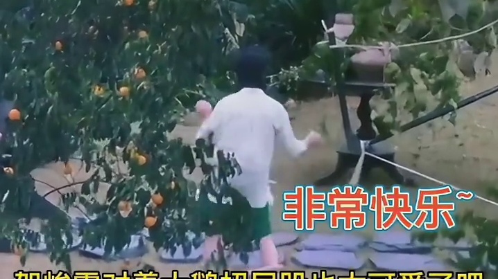 贺峻霖被鹅追哈哈哈哈哈