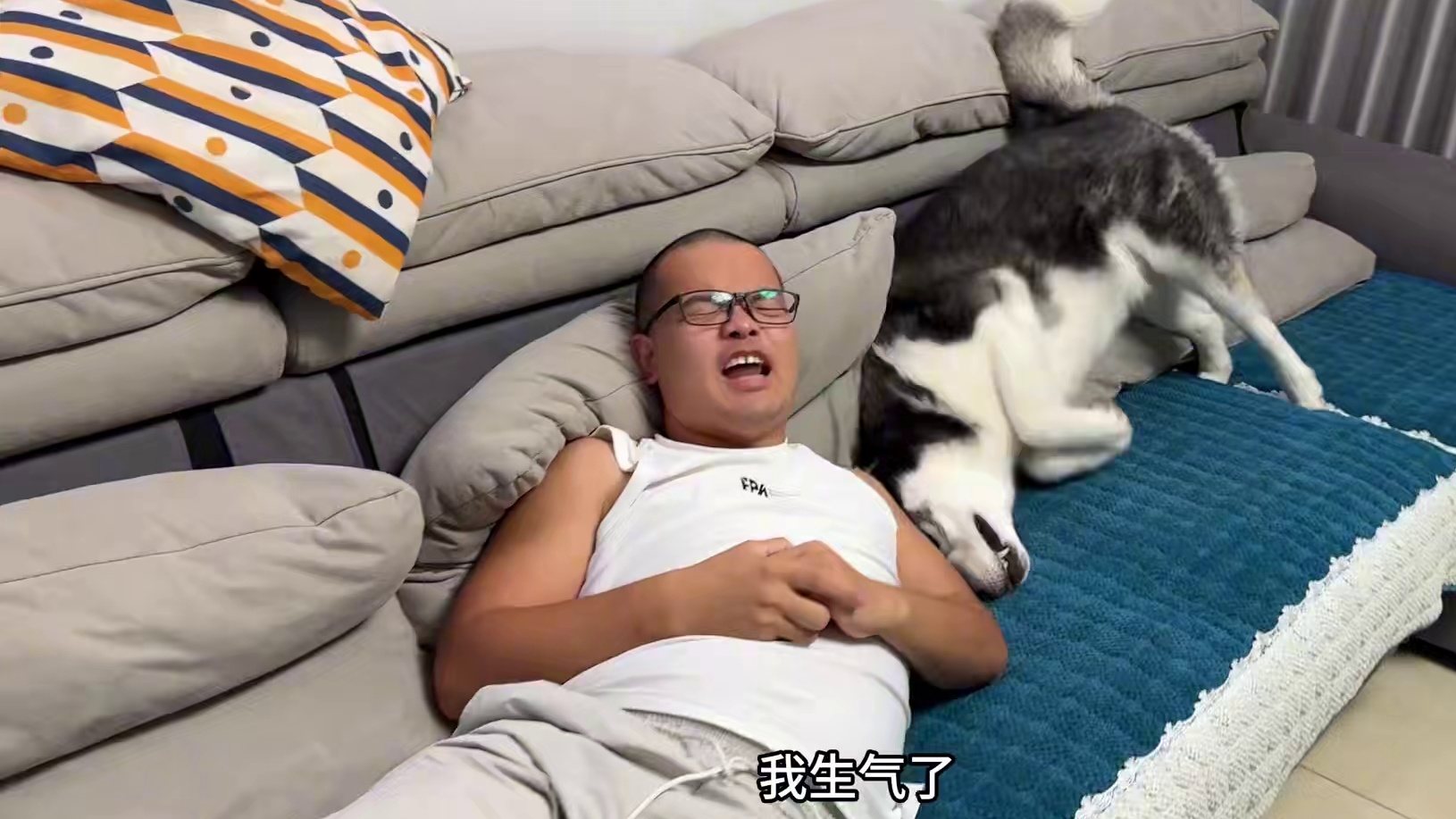 二哈看到主人生气会是啥反应？傻狗的冷漠笑得人肚疼，没良心啊 #动物的迷惑行为 #我和我的狗 #神奇动