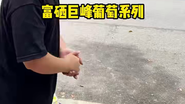 请十位评论区粉丝喝黑龙部落新品巨峰葡萄系列！#衡阳探店 #衡阳美食探店 #衡阳探店小龙仔 #小龙带你