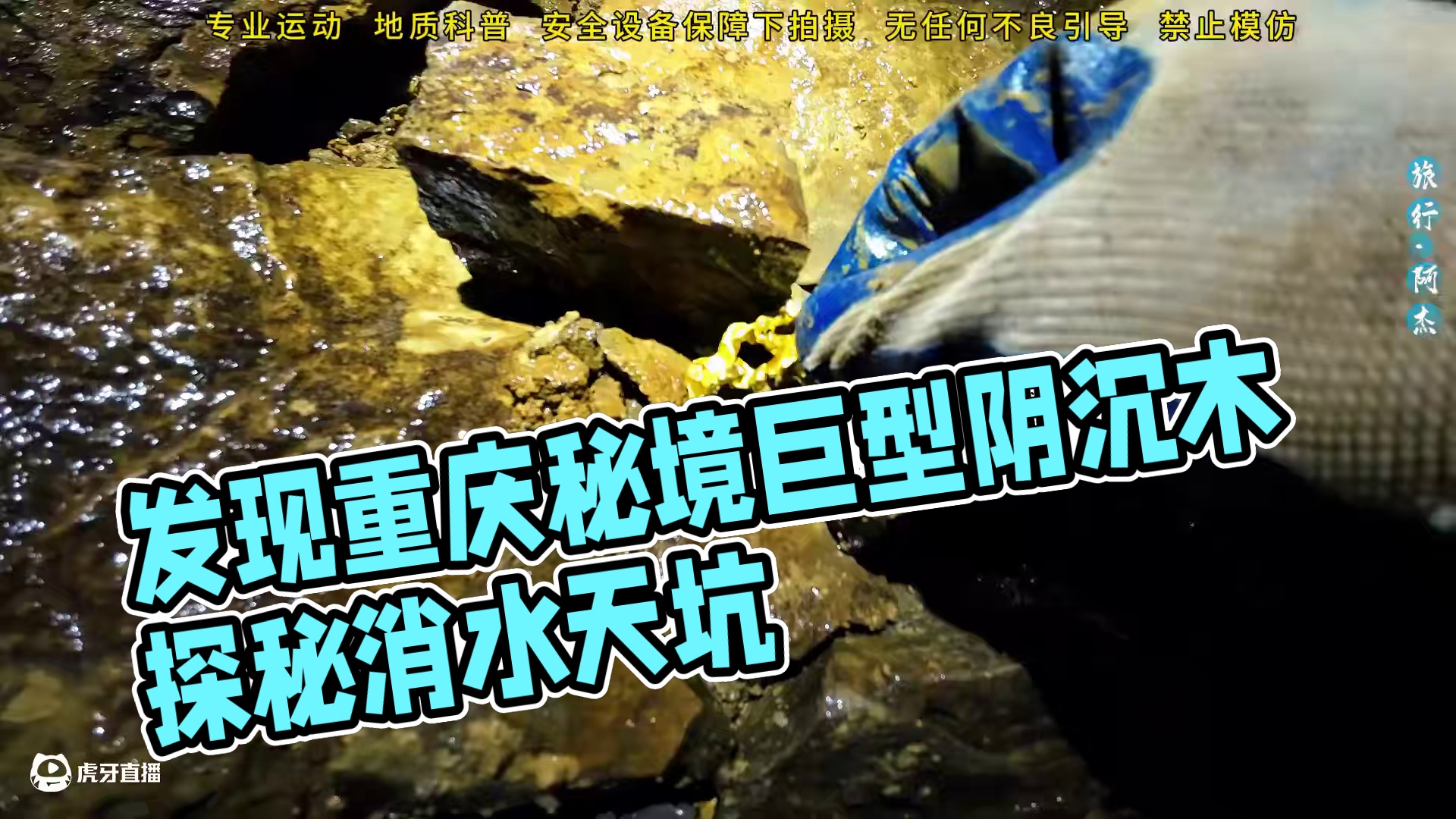 200多米的消水天坑下，发现大量巨型阴沉木，据说价值不菲！ #旅行阿杰 #重庆秘境·阿杰