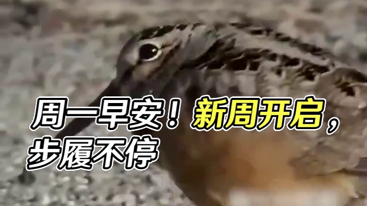 周一早安！时光荏苒，新周开启，心向暖阳，步履不停。