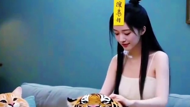 胖虎被贞子缠上，请来胖橘道长，恐怖片变喜剧片，太搞笑啦#上热门话题 #胖橘 #即梦ai #神奇的动物