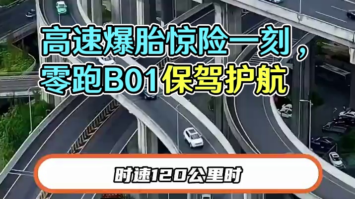 高速爆胎有多吓人？#爆胎 #零跑B01
