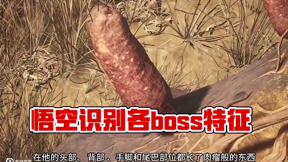 黑神话悟空全部boss的相貌 及部分细节你都看清了吗？第3期 #黑神话的故事没有那么简单 #关于黑神
